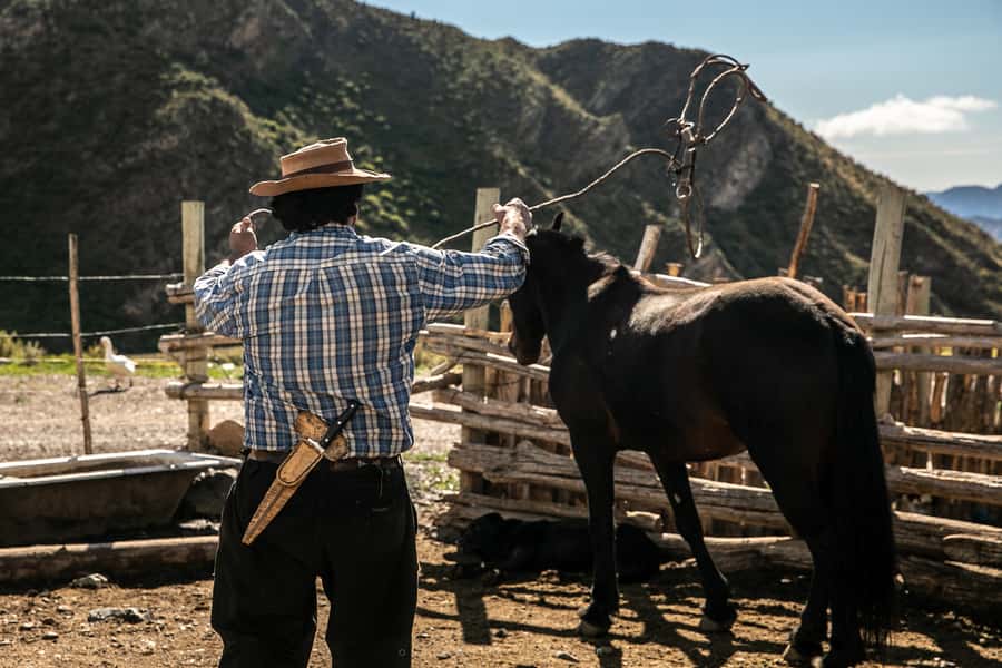 From Mendoza: Full Day Gaucho Experience - Who will get the most from this gaucho day