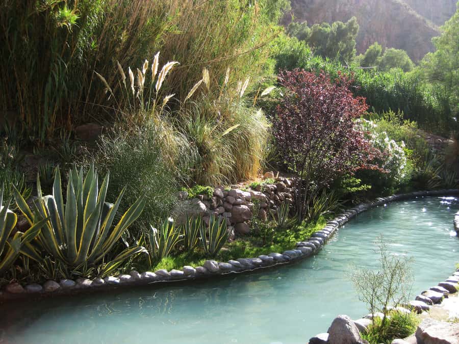 From Mendoza: Premium Spa Day at the Cacheuta Hot Springs - How the $156 price holds up