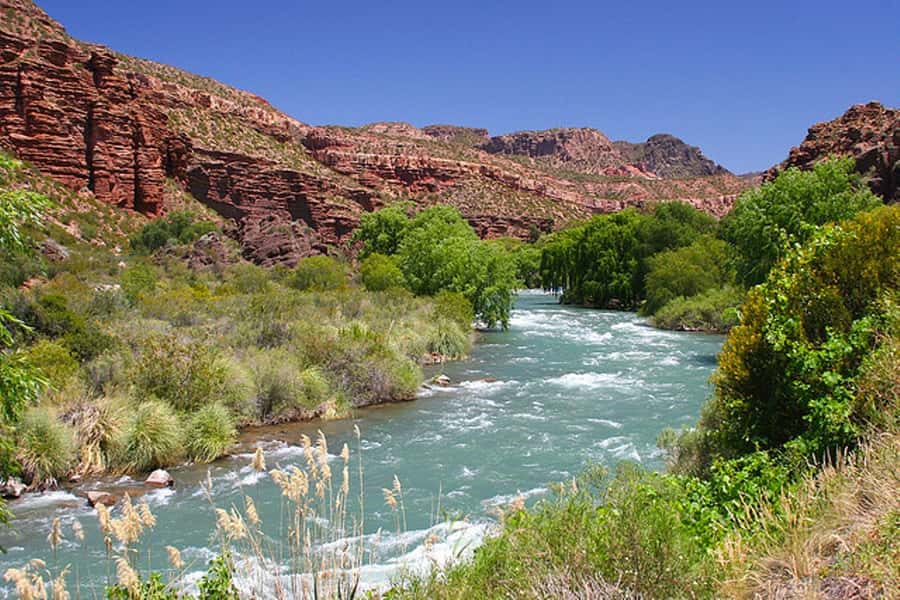 From Mendoza: San Rafael Sightseeing and Atuel Canyon Tour - Key points to know before you book