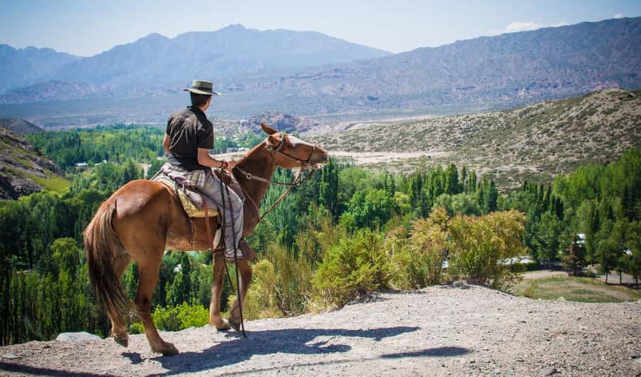 From Mendoza: Sunset Horseback Ride and Asado in the Andes - Key points to know before you book