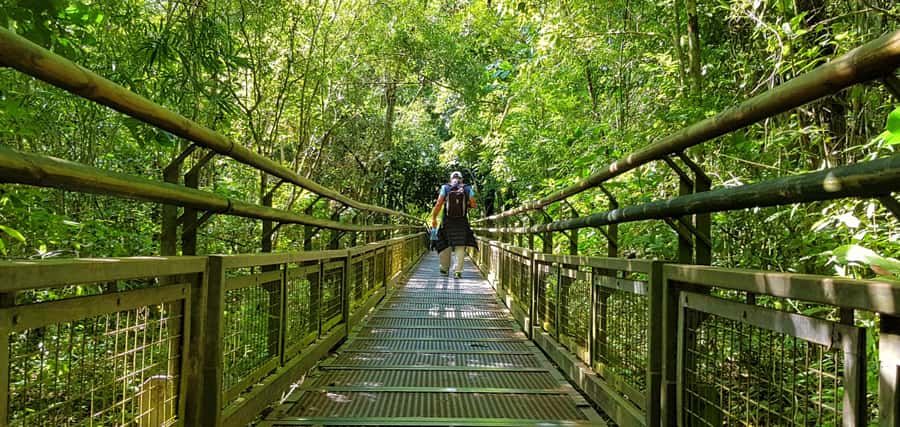 From Puerto Iguazu: Argentinian Iguazu Falls with Boat Ride - Booking advice and final verdict