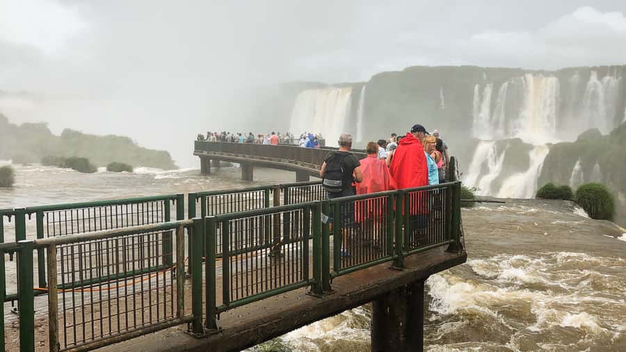From Puerto Iguazu: Half-Day Brazilian Falls Excursion - Who should book this Brazilian falls trip