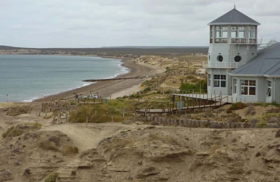 From Puerto Madryn: City and Punta Loma Tour - Why Punta Loma is the main attraction