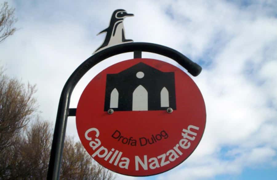 From Puerto Madryn: City and Punta Loma Tour - From Paraná Beach to the reserve