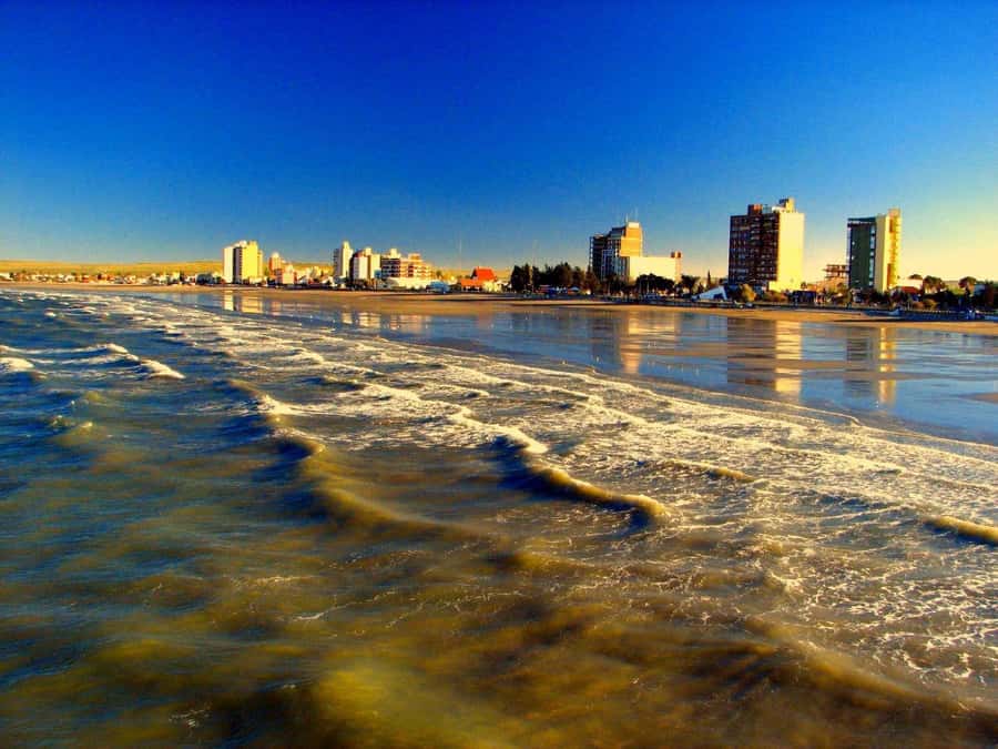 From Puerto Madryn: City and Punta Loma Tour - Who will get the most from this tour?
