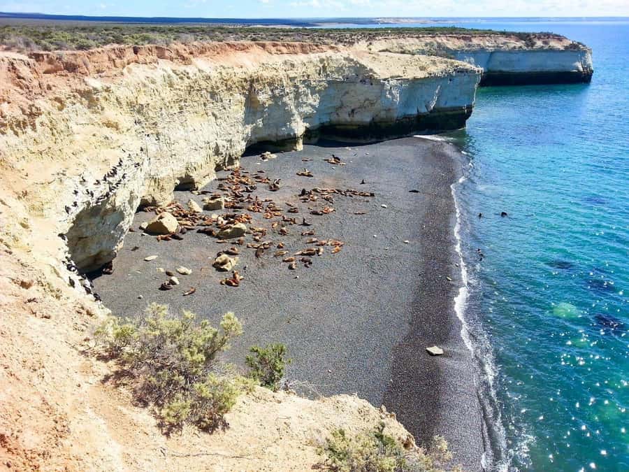 From Puerto Madryn: City and Punta Loma Tour - Timing, pickup, and what to bring