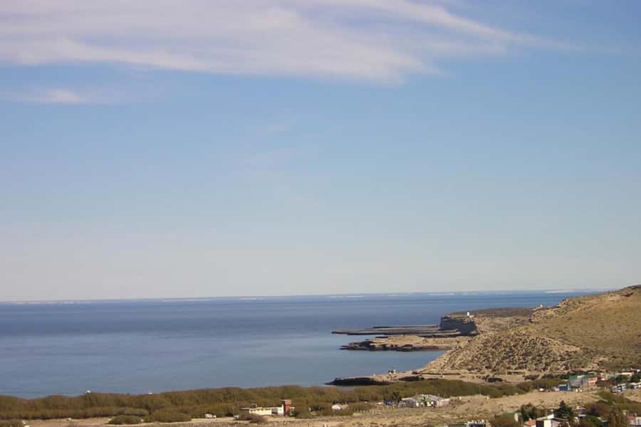 From Puerto Madryn: Full Day Excursion to Punta Tombo - Key points to know before booking