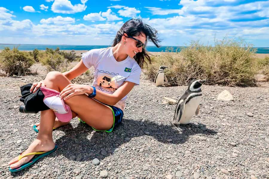 From Puerto Madryn: Full Day Excursion to Punta Tombo - Why Punta Tombo is worth the long road