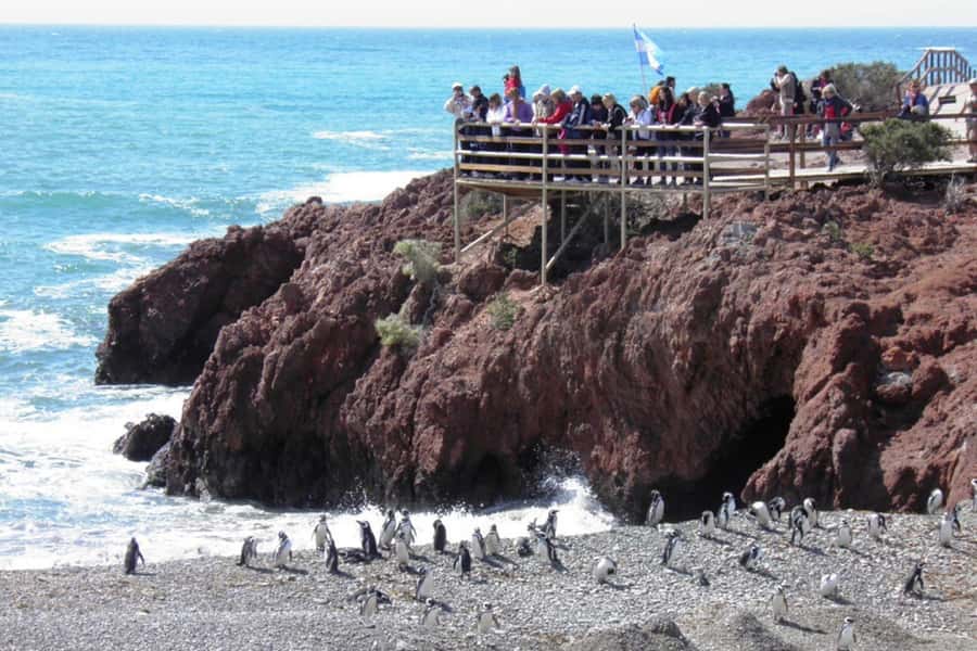 From Puerto Madryn: Full Day Excursion to Punta Tombo - What the Interpretation Center adds