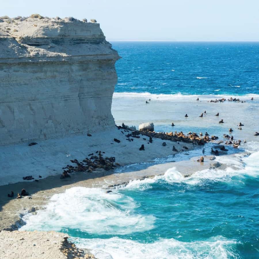 From Puerto Madryn: Peninsula Valdés Shore Excursion - The route changes with season, tides, and weather