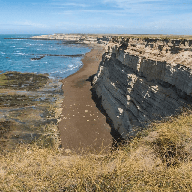 From Puerto Madryn: Peninsula Valdés Shore Excursion - The steppe brings guanacos, maras, and more