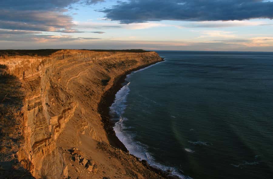 From Puerto Madryn: Valdes Peninsula Full-Day Tour - Puerto Piramides and the optional whale trip