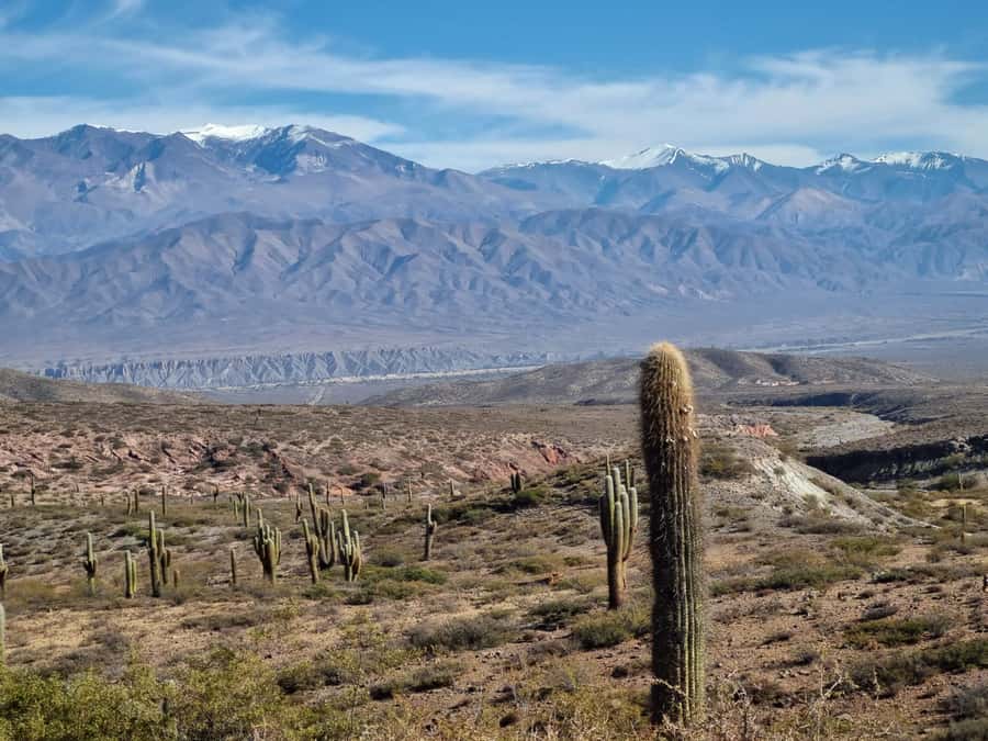 From Salta: 2-Day Guided Trip to Cafayate and Cachi - Key points to know before booking