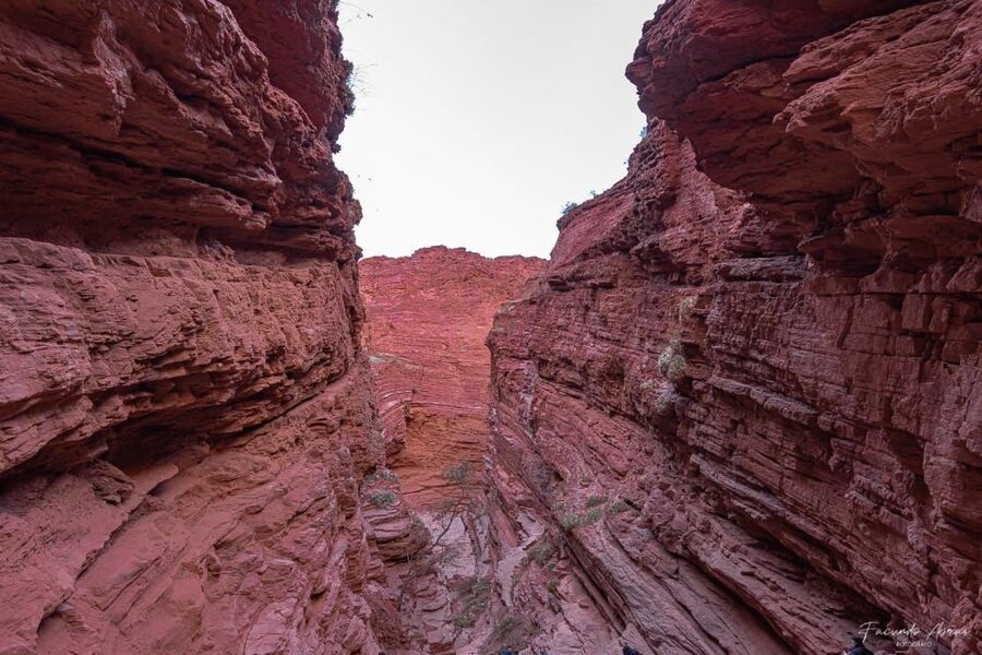 From Salta: 2 Day Guided Trip to Cafayate & Salinas Grandes - Guide language and what to bring