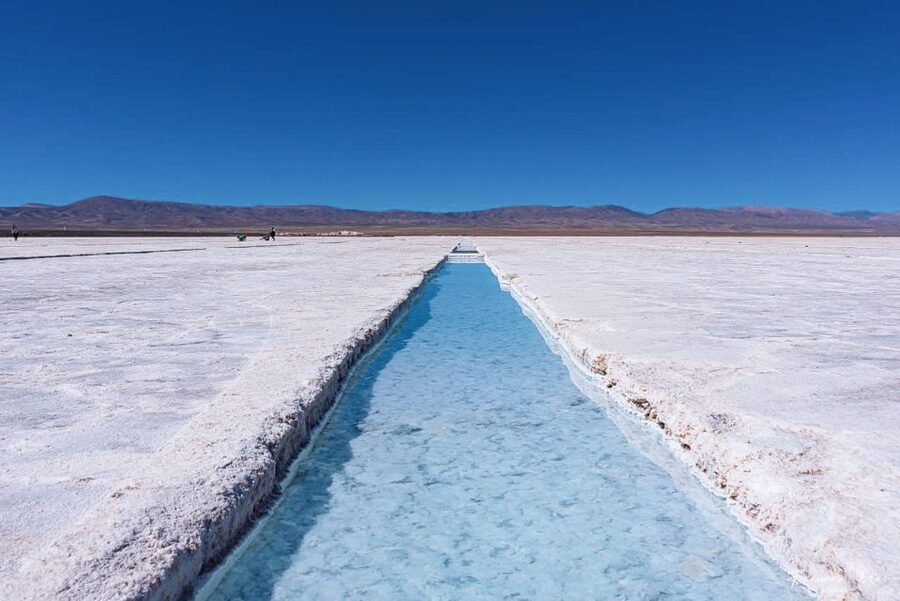From Salta: 2 Day Guided Trip to Cafayate & Salinas Grandes - Cafayate, vineyards, and the Spanish-language tasting