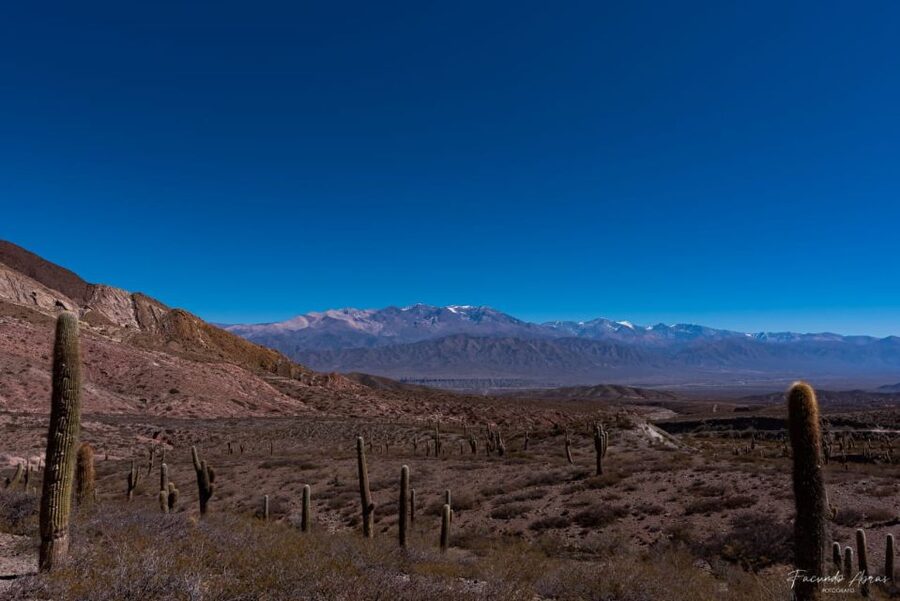 From Salta: 4-Day Trip in Salta Province & Salinas Grandes - What the transport is really like