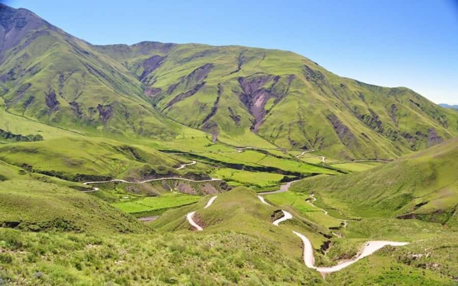From Salta: Cachi and Los Cardones National Park Tour - Is $30 a fair price?