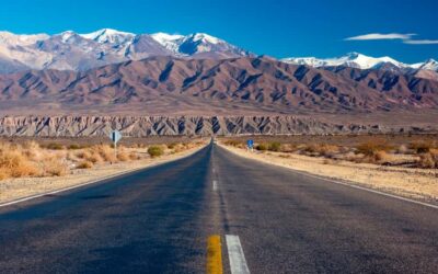 From Salta: Cachi and Los Cardones National Park Tour