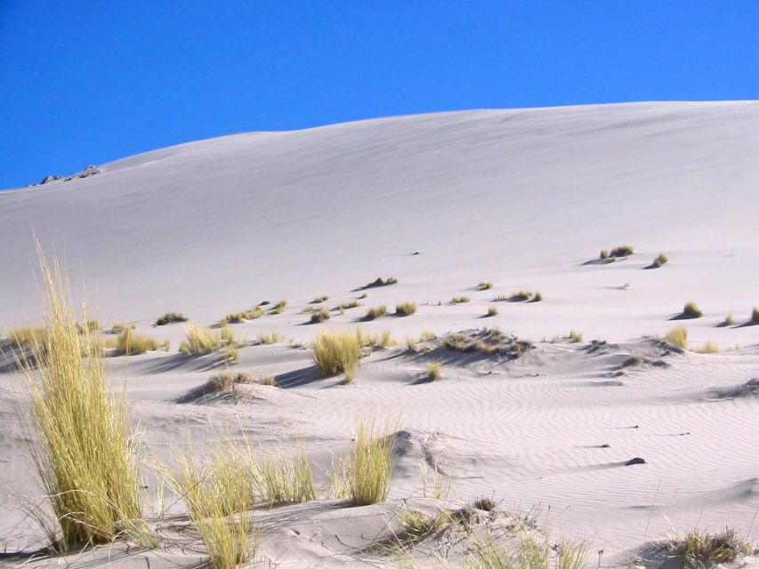 From Salta: Cafayate and Hornocal 2-Day Tour with Transfer - What the $88 price really covers