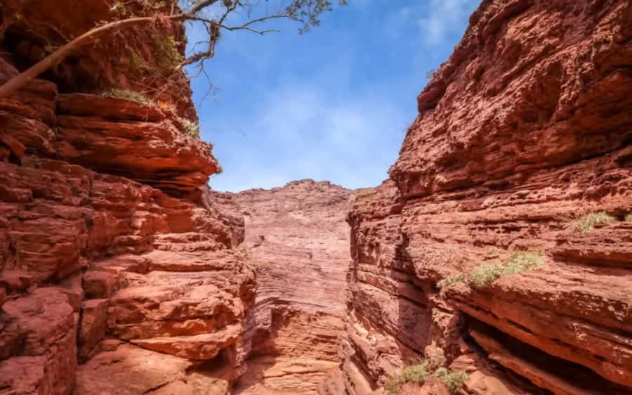 From Salta:Cafayate and the imposing Quebrada de las Conchas - Key points to know before booking