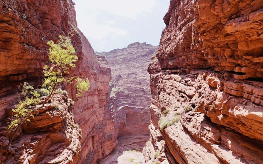 From Salta:Cafayate and the imposing Quebrada de las Conchas - Is $29 good value?