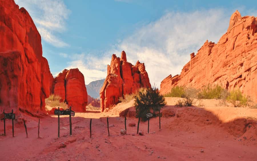 From Salta:Cafayate and the imposing Quebrada de las Conchas - Why the road to Cafayate is worth your day