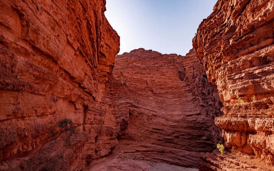 From Salta:Cafayate and the imposing Quebrada de las Conchas - Short stops at El Sapo, La Yesera, and the other formations