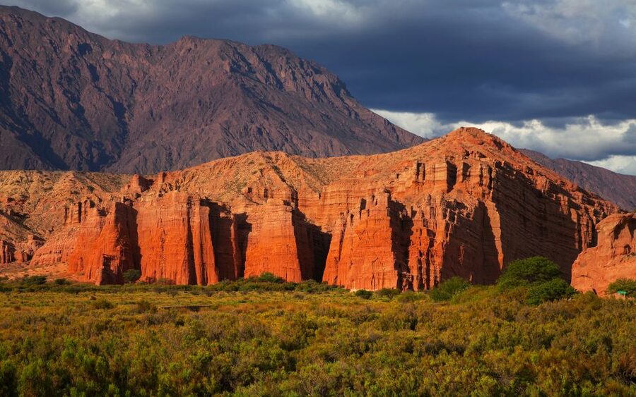 From Salta: Cafayate, Cachi, & Hornocal 3-Day Tour - Cafayate wine and Torrontés tasting