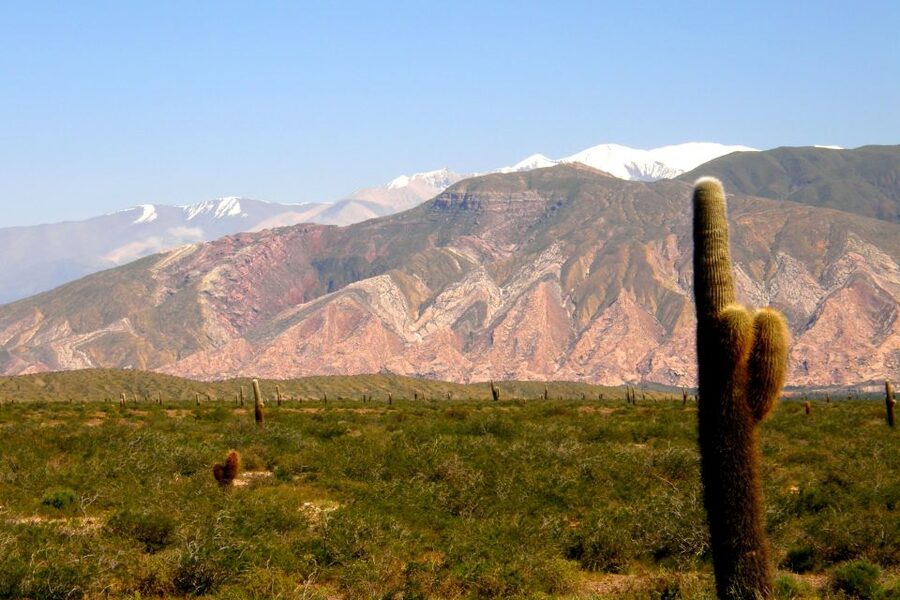 From Salta: Cafayate, Cachi, & Hornocal 3-Day Tour - The Hill of Fourteen Colors at Hornocal