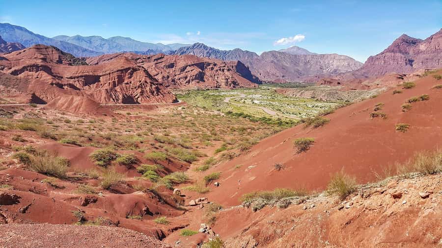 From Salta: Cafayate Day Trip with Wine Tasting - Guides, language, and group size