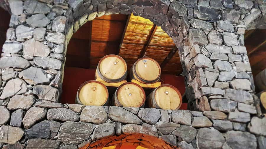 From Salta: Cafayate Day Trip with Wine Tasting - What the $40 price really buys you