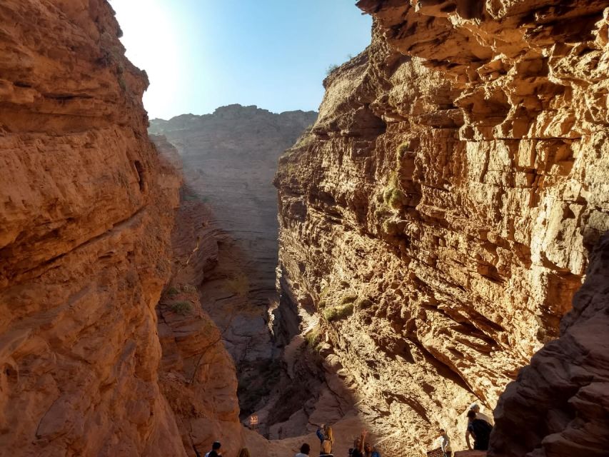 From Salta: Cafayate, Salinas Grandes, & Hornocal Tour - Who will get the most from this tour?