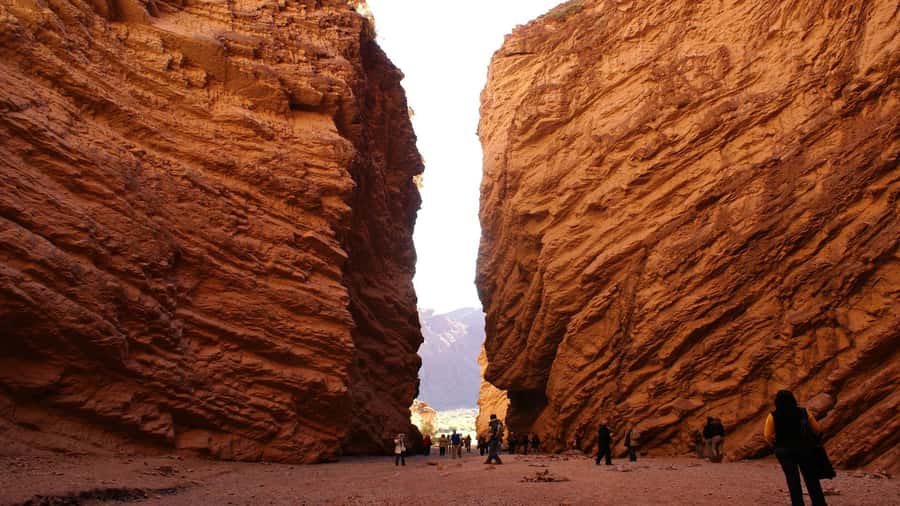 From Salta: Day Trip to Cafayate - Cafayate and the Torrontés connection