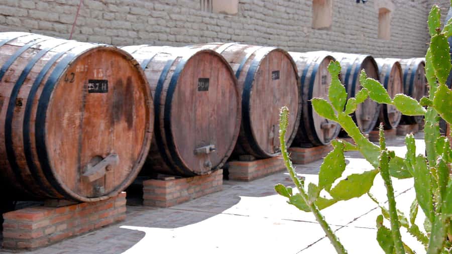 From Salta: Day Trip to Cafayate - Who should book this excursion
