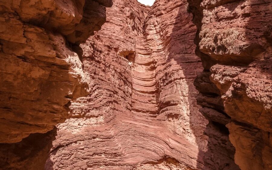 From Salta: Full-day excursions through Cafayate and Cachi - Transport, guides, and the long day
