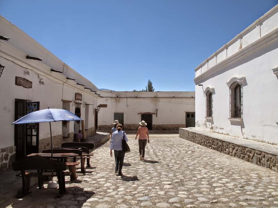 From Salta: Full-Day Scenic Tour to Cachi - Los Cardones National Park and its giant cactus