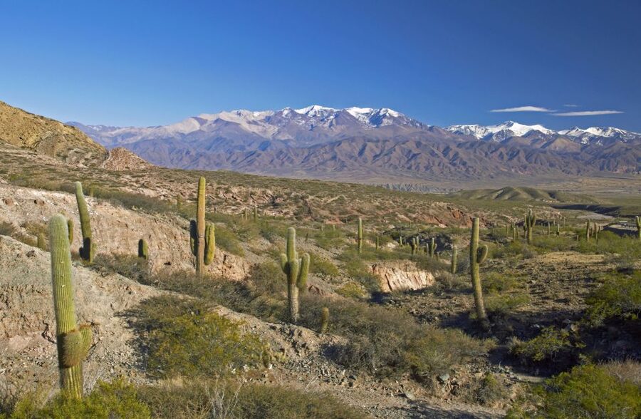 From Salta: Full-Day Scenic Tour to Cachi - Time in Cachi
