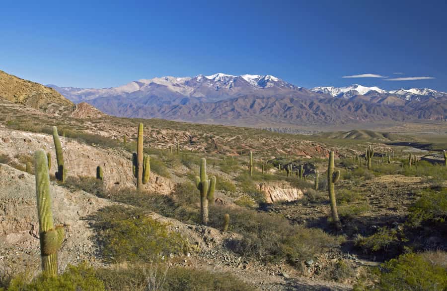 From Salta: Full-Day Scenic Tour to Cachi - From Salta to the Gorge of Escoipe