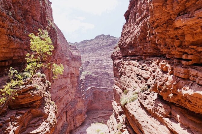 From Salta: Full-Day Tour to Cafayate, Land of Wines - The return through the same rock country