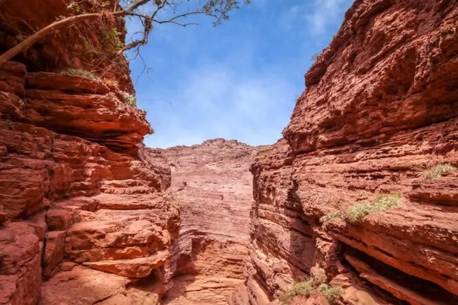 From Salta: Full-Day Tour to Cafayate, Land of Wines - Is $38 good value for this Salta day trip?