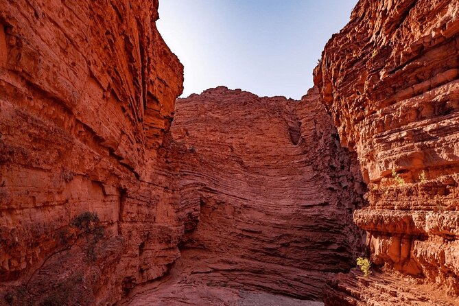 From Salta: Full-Day Tour to Cafayate, Land of Wines - Who should book this Cafayate tour?