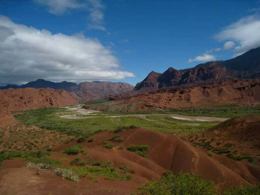 From Salta: Full-Day Tour to Cafayate with Wine Tasting - Key points to know before booking