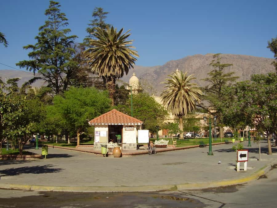 From Salta: Full-Day Tour to Cafayate with Wine Tasting - Guides, language, and the human side of the trip