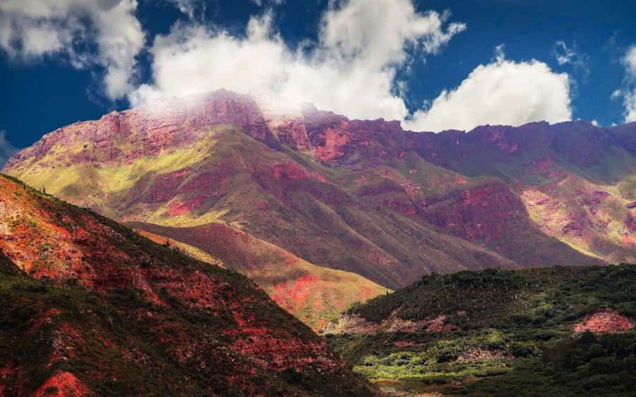 From Salta: Full-Day Tours of Cachi and Salinas Grandes - Transport, pickup, and the rhythm of the day