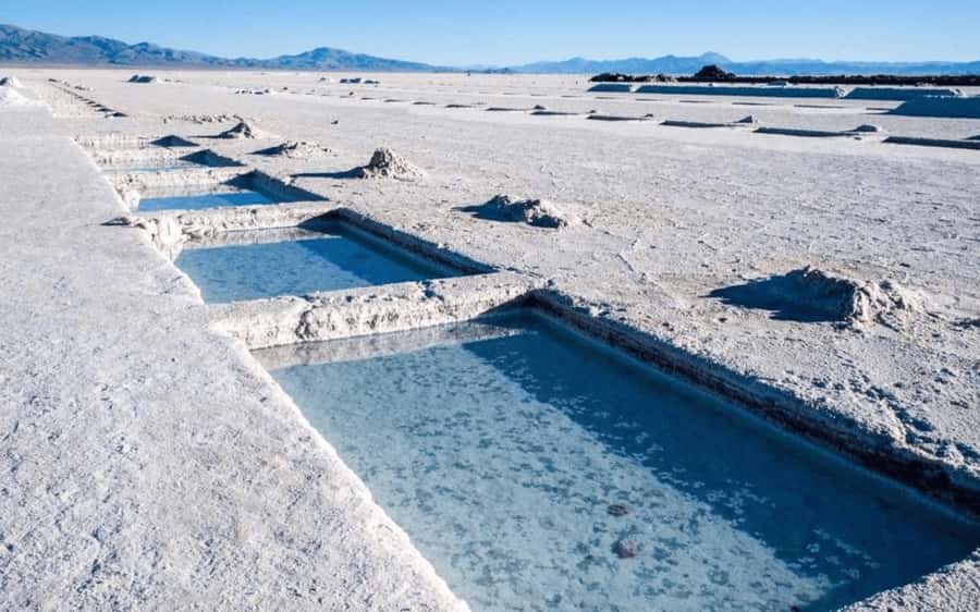 From Salta: Full-Day Tours of Cafayate and Salinas Grandes - Key points at a glance