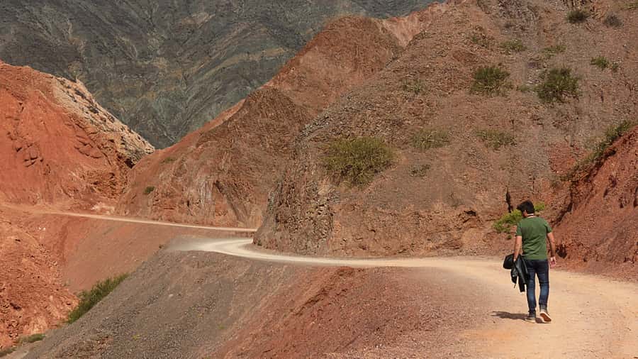 From Salta: Full-Day Trip to Salinas Grandes and Purmamarca - Key points to know before you book