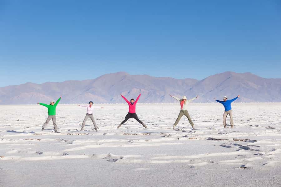 From Salta: Great Salt Flats Day Tour - A very long road to a very white destination