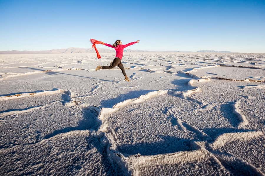 From Salta: Great Salt Flats Day Tour - Route 40 and the wide-open Salinas Grandes