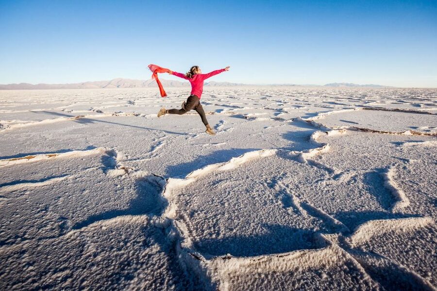 From Salta: Great Salt Flats Day Tour - The guide can make or break the long ride