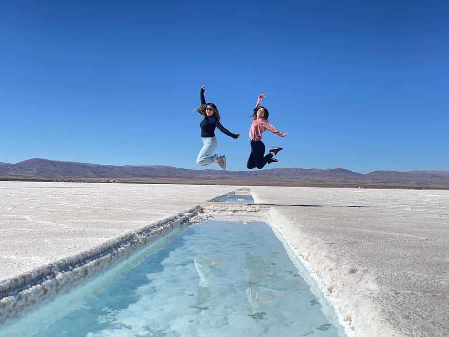From Salta: Great Salt Flats Day Tour - What the $436 price really buys you